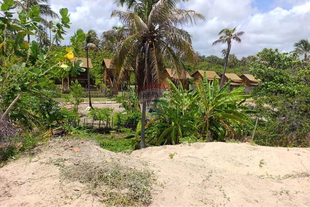 Casa - Venda - Trairi , Ceará - WhatsApp Image 2026-02-28 at 11.09.11.jpeg - 722341005-58