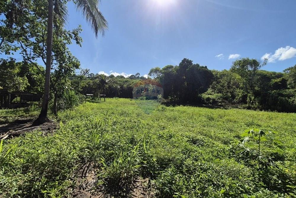 Chácara / Sítio / Fazenda - Venda - Mamanguape , Paraíba - 20250207_144845.jpg - 722011055-45