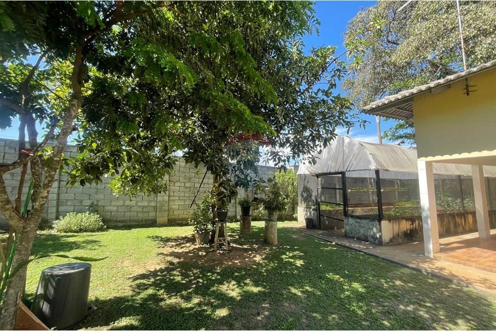 Chácara / Sítio / Fazenda - Venda - Nova Veneza , Goiás - WhatsApp Image 2025-11-18 at 07.24.56 (2).jpeg - 722271015-32