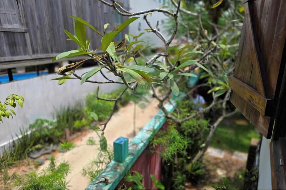 Casa Comercial - Venda - Jijoca de Jericoacoara , Ceará - 1000593185.jpg - 722341001-162