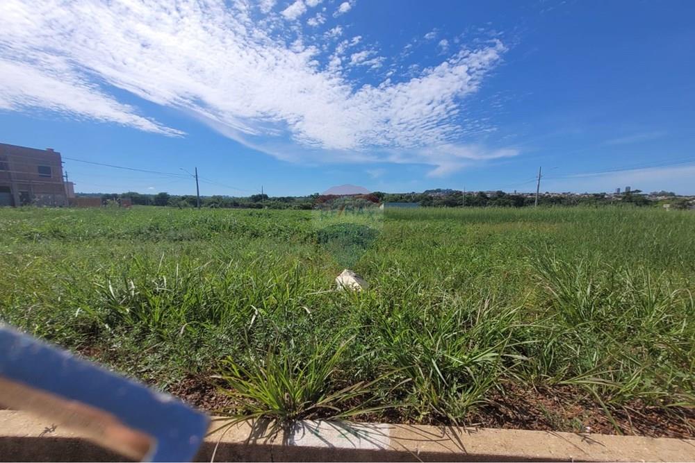 Terreno - Venda - Rondonópolis , Mato Grosso - WhatsApp Image 2026-01-31 at 20.45.52 (2).jpeg - 720771042-57
