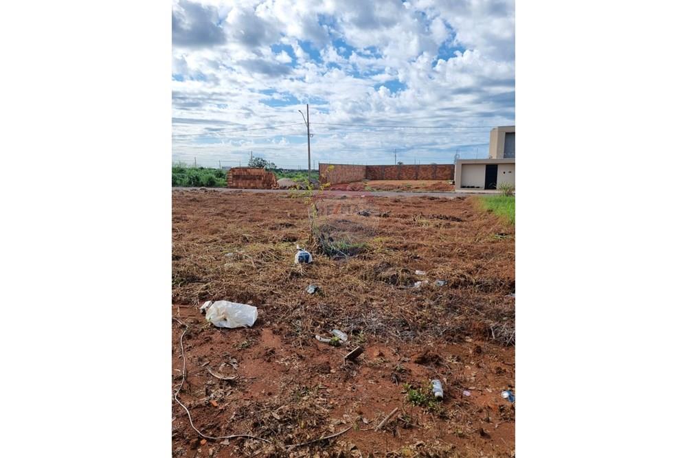 Terreno - Venda - Confresa , Mato Grosso - WhatsApp Image 2026-01-27 at 10.43.37 (2).jpeg - 720641046-17