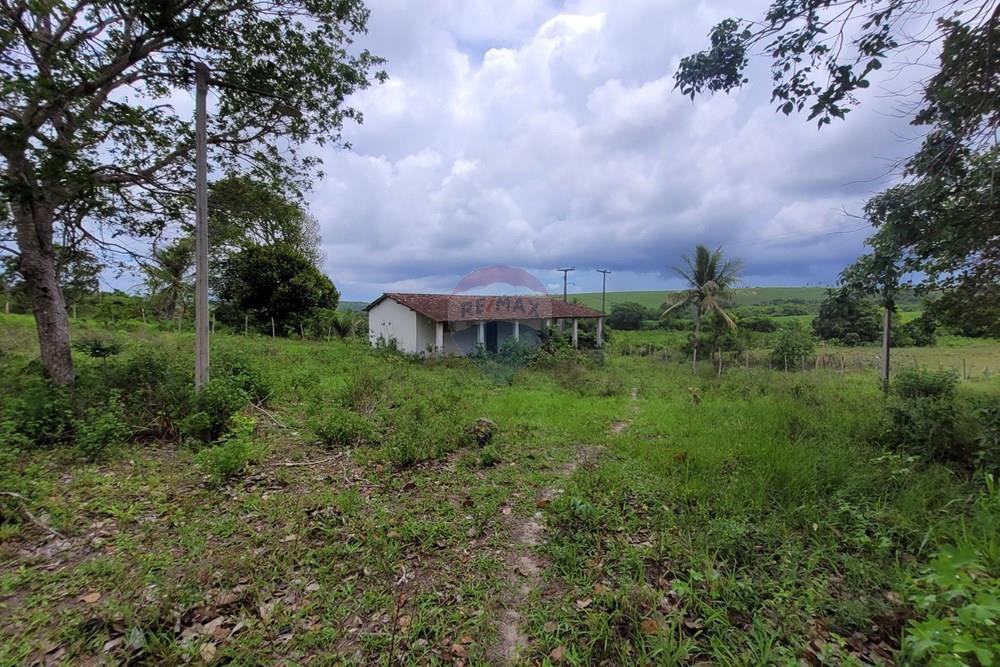 Chácara / Sítio / Fazenda - Venda - Conde , Paraíba - 20260207_103818.jpg - 722011055-53