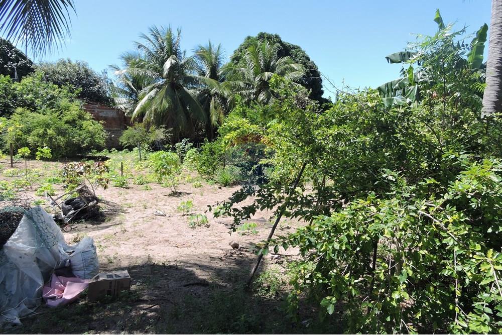 Terreno - Venda - Parnamirim , Rio Grande do Norte - DSCN4929.JPG - 720891130-357