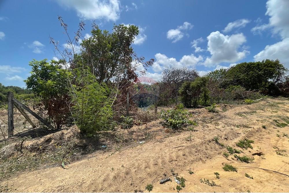 Terreno - Venda - Conde , Paraíba - WhatsApp Image 2025-01-02 at 15.01.12 (1).jpeg - 720871004-173