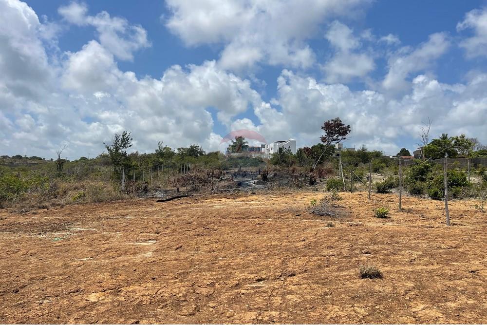 Terreno - Venda - Conde , Paraíba - WhatsApp Image 2025-01-02 at 15.58.00.jpeg - 720871004-174