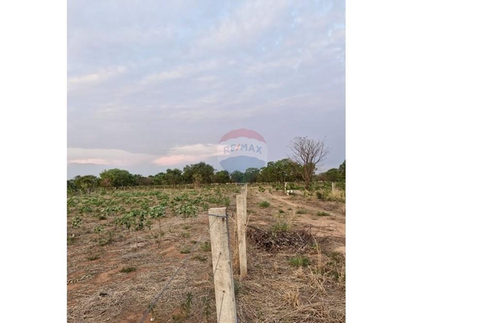 Chácara / Sítio / Fazenda - Venda - Rondonópolis , Mato Grosso - IMG-20251027-WA0031.jpg - 721981068-20
