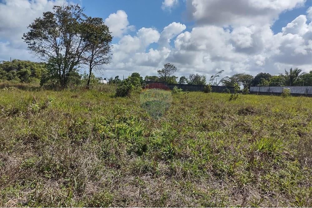 Terreno - Venda - Conde , Paraíba - 72f3f975-f1d7-40b6-b6ad-7aa53964c85a.jpg - 720871031-69