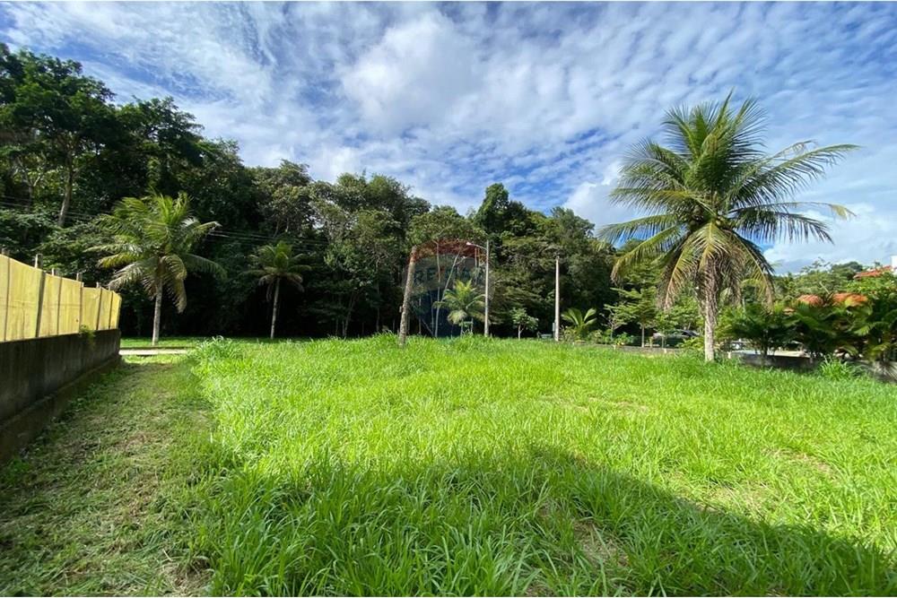 Terreno - Venda - Camaragibe , Pernambuco - WhatsApp Image 2025-06-25 at 18.11.39 (1).jpeg - 720471070-30