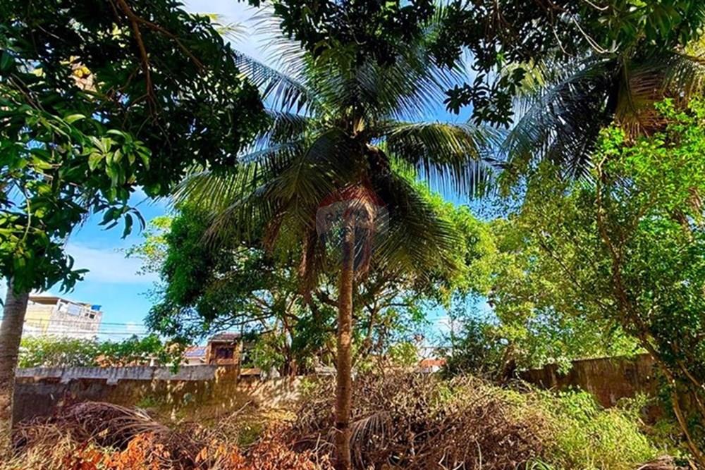 Terreno - Venda - Natal , Rio Grande do Norte - WhatsApp Image 2025-12-04 at 15.27.32 (2).jpeg - 720731001-2488