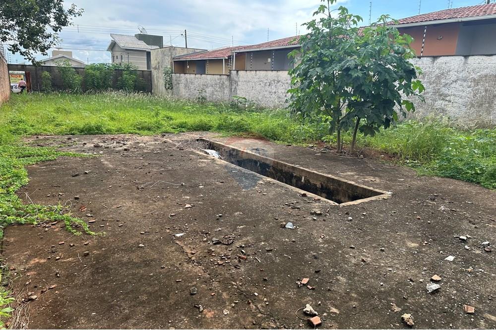 Terreno - Venda - Araguaína , Tocantins - IMG_2018.jpeg - 720991036-11