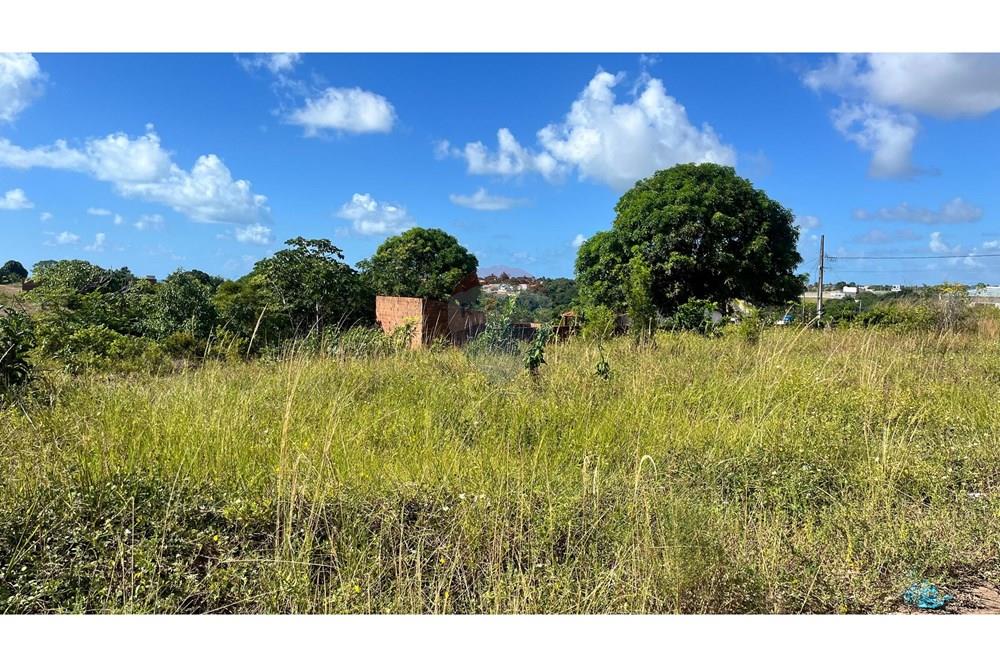 Terreno - Venda - Conde , Paraíba - WhatsApp Image 2025-05-12 at 10.40.39.jpeg - 720871004-197