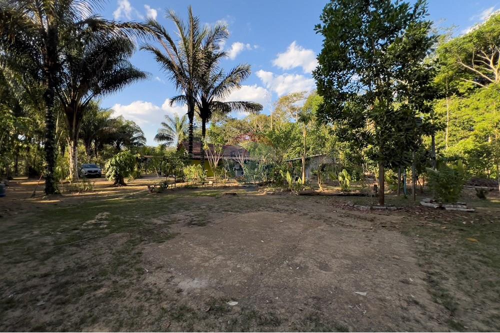 Chácara / Sítio / Fazenda - Venda - Porto Velho , Rondônia - IMG_9018.jpg - 721551016-73