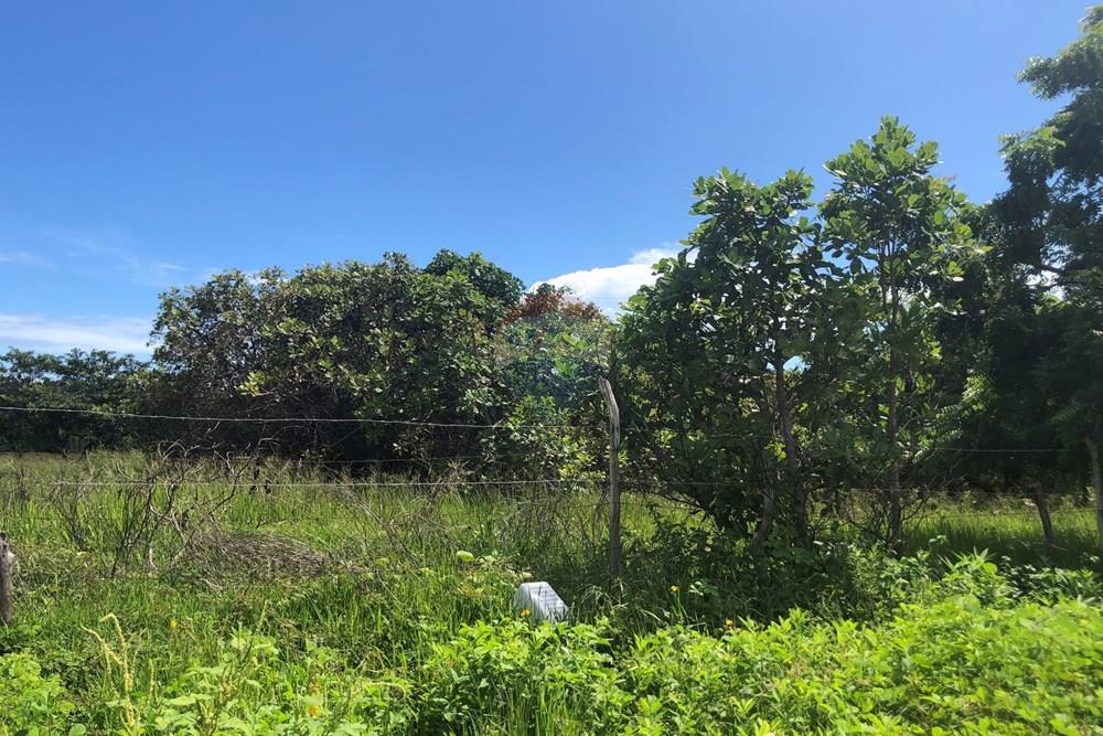 Terreno - Venda - Cruz , Ceará - IMG_0596.jpeg - 722341001-199