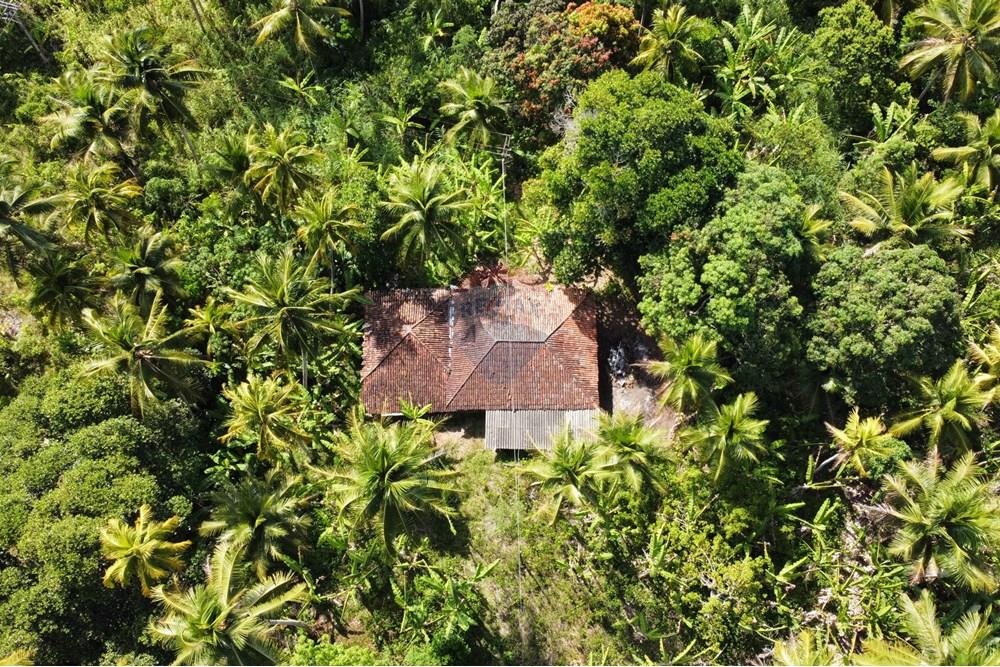 Chácara / Sítio / Fazenda - Venda - Conde , Paraíba - dji_fly_20250123_142910_395_1737653420642_photo_optimized1.jpg - 722011055-36