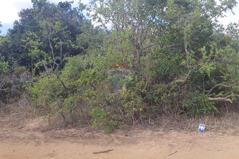 Terreno - Venda - Conde , Paraíba - c60e0190-15bd-4ec5-969d-8193d3b300b2.jpeg - 720471019-138