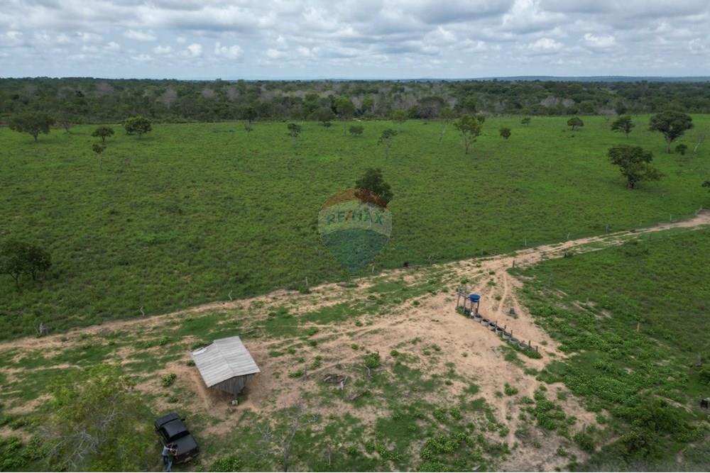 Fazenda - Venda - Araguaína , Tocantins - WhatsApp Image 2025-12-13 at 19.32.31 (6).jpeg - 720991010-81