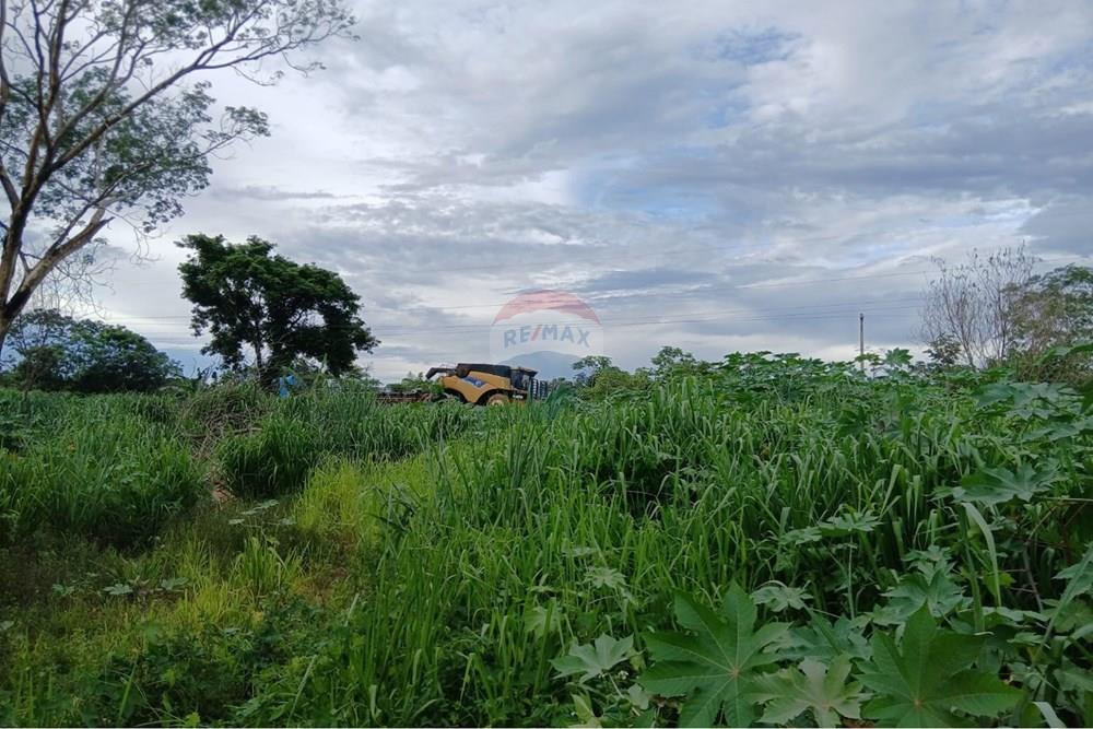 Chácara / Sítio / Fazenda - Venda - Rondonópolis , Mato Grosso - WhatsApp Image 2026-01-28 at 17.58.05 (2).jpeg - 722201031-3