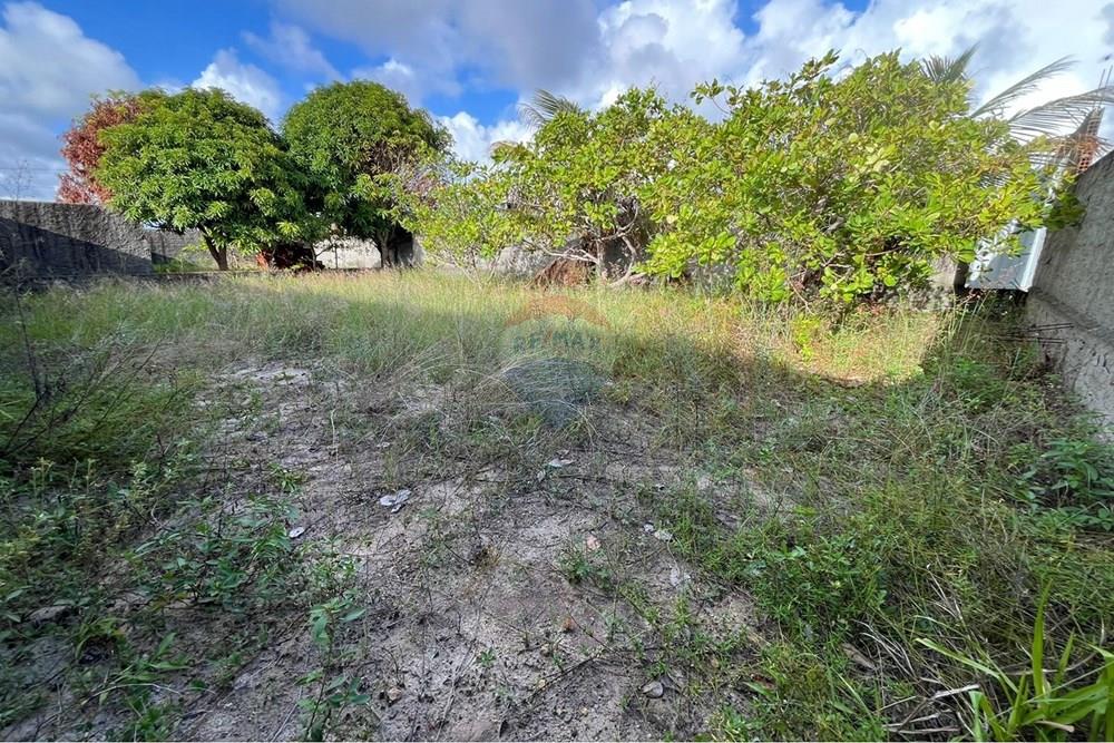 Terreno - Venda - Conde , Paraíba - WhatsApp Image 2026-02-20 at 15.54.18.jpeg - 720871047-20