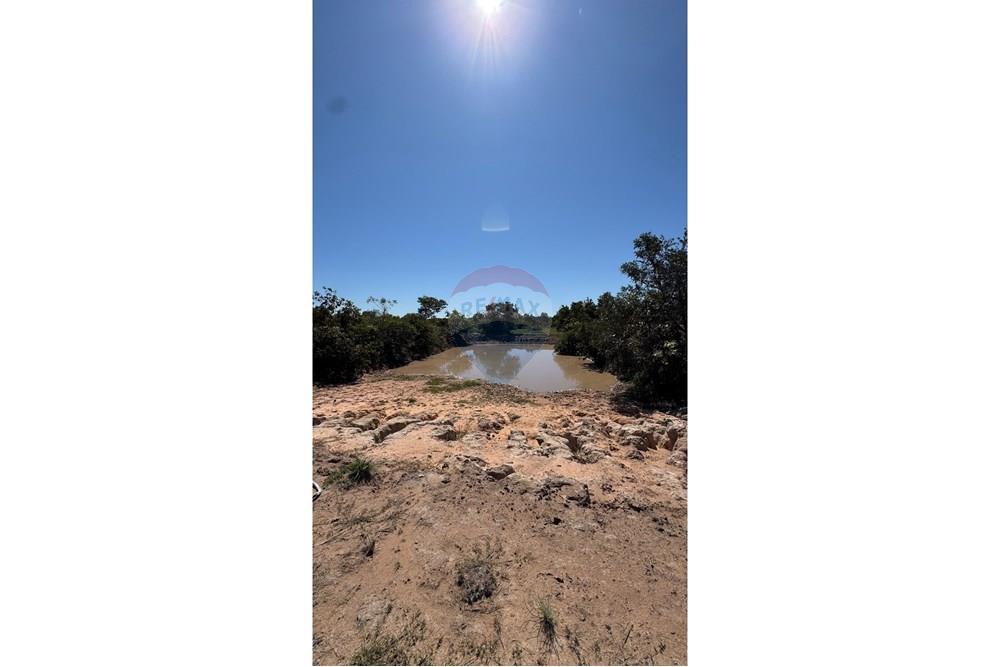 Fazenda - Venda - Santo Antônio do Leverger , Mato Grosso - bd33ca81-eea2-4cb5-8415-dfb4b5111510.jpeg - 720611035-41