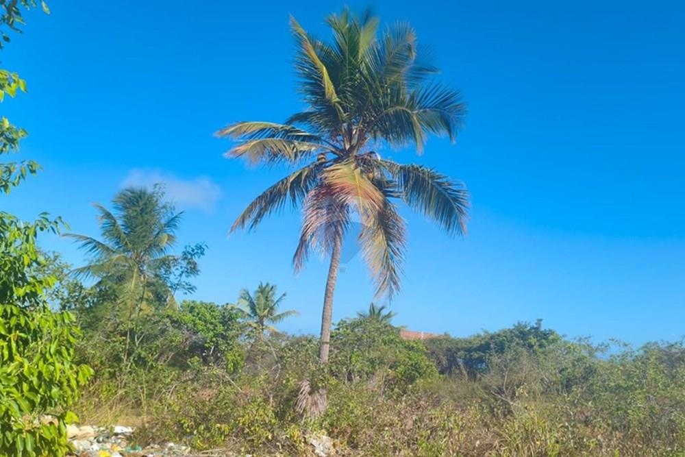 Terreno - Venda - Conde , Paraíba - 3c2f4f83-76b9-4b13-a722-129738de4dfe.jpg - 720871056-42