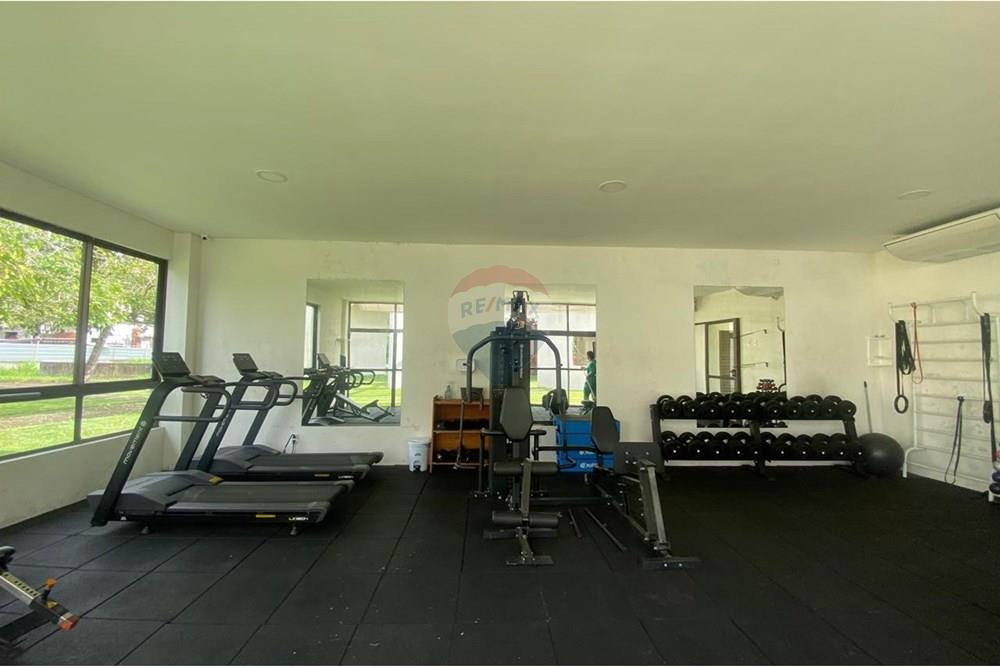 Terreno - Venda - Camaragibe , Pernambuco - WhatsApp Image 2025-06-25 at 18.11.43 (13).jpeg - 720471070-30