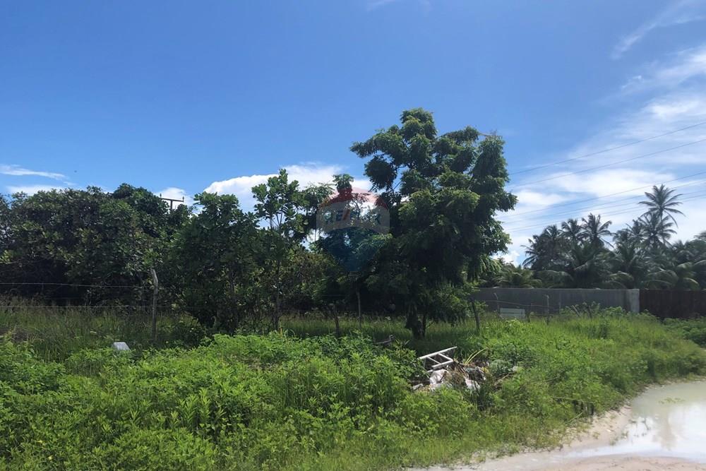 Terreno - Venda - Cruz , Ceará - IMG_0588.jpeg - 722341001-199