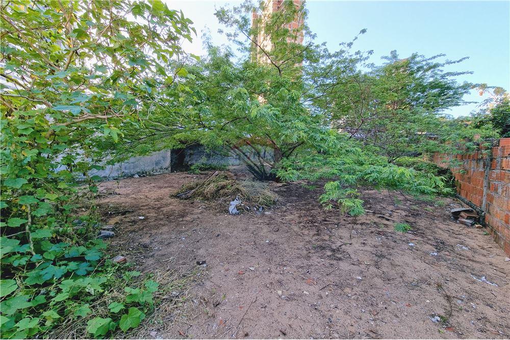 Terreno - Venda - Natal , Rio Grande do Norte - 11 - 720891039-305