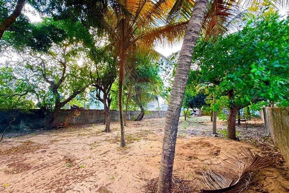 Terreno - Venda - Natal , Rio Grande do Norte - WhatsApp Image 2025-12-04 at 15.27.33 (6).jpeg - 720731001-2488