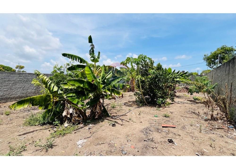 Terreno - Venda - Conde , Paraíba - WhatsApp Image 2026-01-31 at 14.24.53.jpeg - 720871004-230