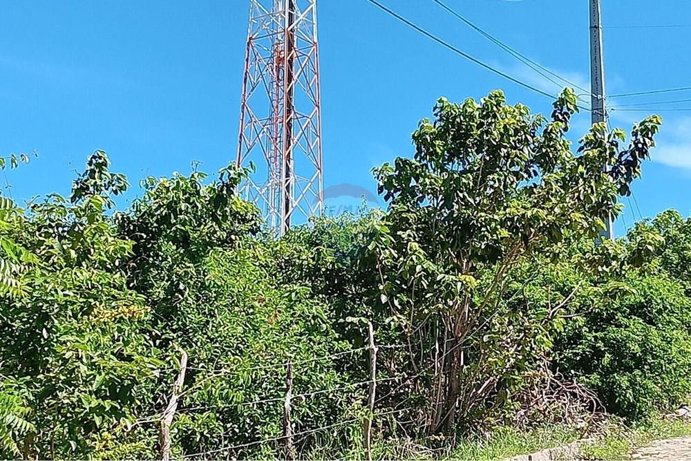 Terreno - Venda - Parnamirim , Rio Grande do Norte - WhatsApp Image 2026-03-24 at 11.35.51.jpeg - 720891130-391