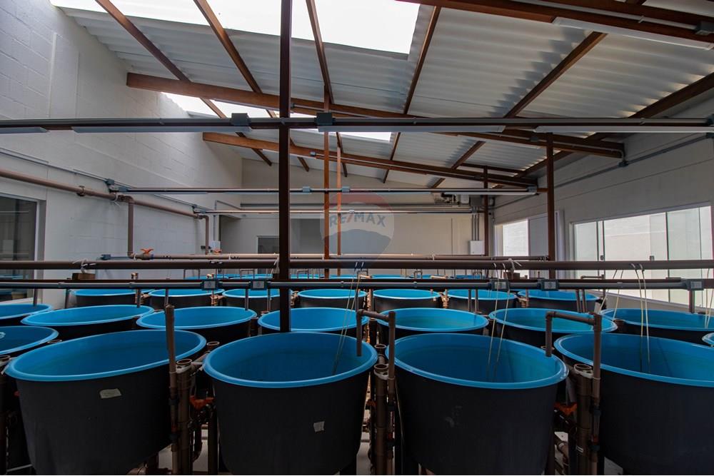 Casa Comercial - Venda - Nísia Floresta , Rio Grande do Norte - IMG_4393.jpg - 720891106-69