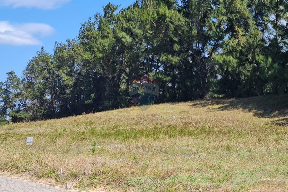 Terreno - Venda - Caucaia , Ceará - WhatsApp Image 2025-08-05 at 17.26.58.jpeg - 721621033-61