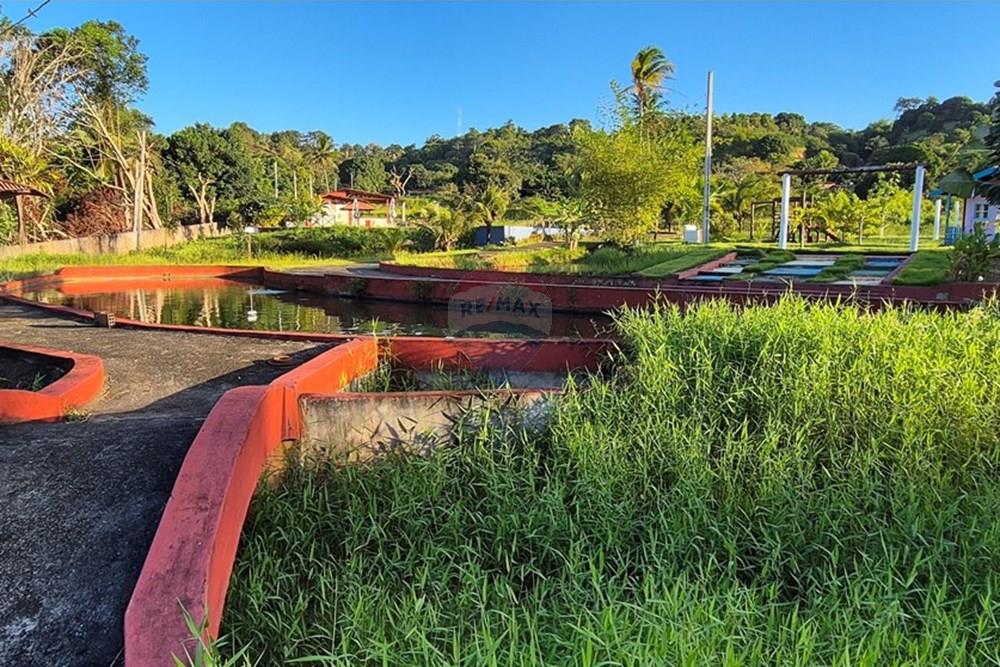 Chácara / Sítio / Fazenda - Venda - Alhandra , Paraíba - 20250724_162826.jpg - 722011055-42