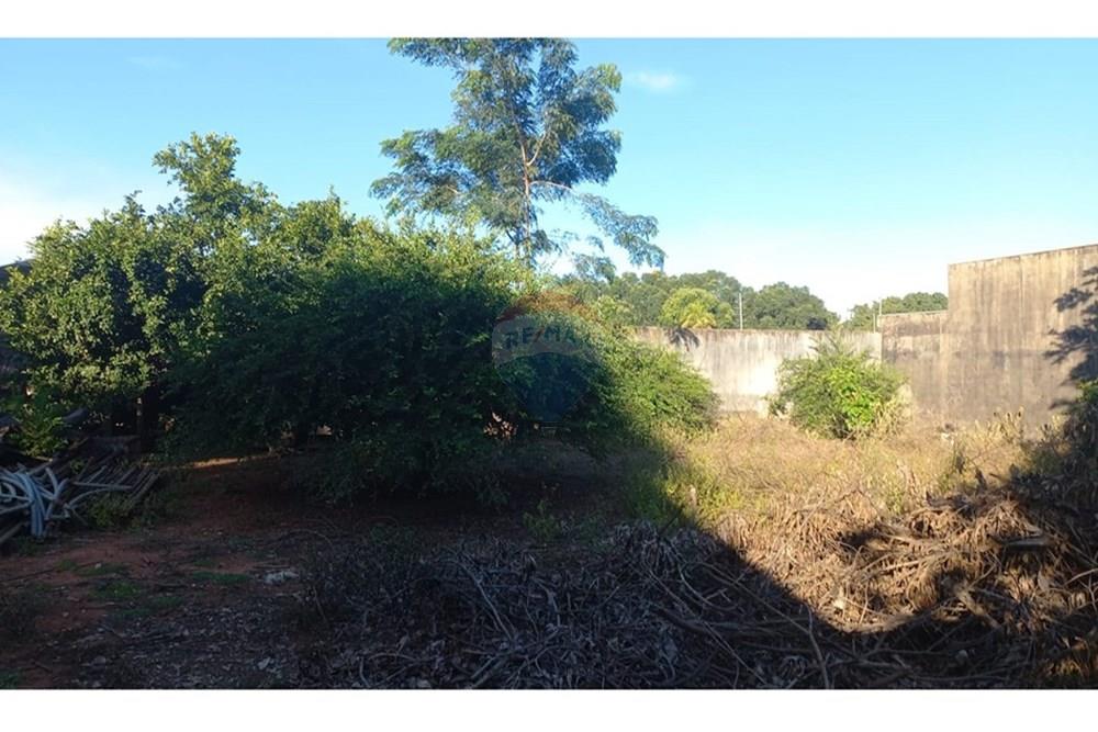 Terreno - Venda - Rondonópolis , Mato Grosso - Imagem do WhatsApp de 2025-06-24 à(s) 17.25.56_9a3e780b.jpg - 722261004-16