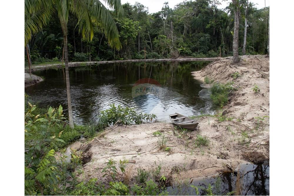 Woningbouw - Boerderij - Novo Airão , Amazonas - BR - IMG_7524.jpg - 720721055-29