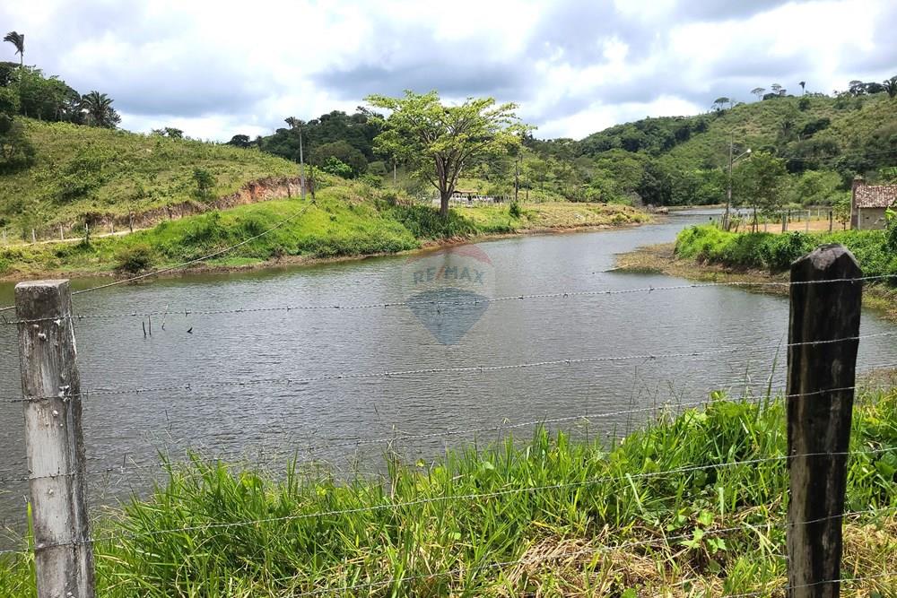 Chácara / Sítio / Fazenda - Venda - Areia , Paraíba - DJI_20230206_112023_601.jpg - 722011055-52