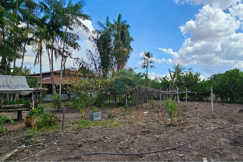 Chácara / Sítio / Fazenda - Venda - Araguaína , Tocantins - WhatsApp Image 2025-08-07 at 15.19.05.jpeg - 722171030-16