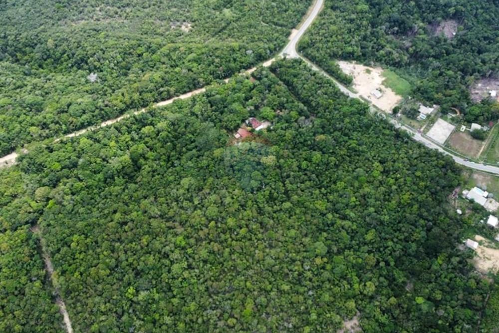 Terreno - Venda - Manaus , Amazonas - IMG-20251021-WA0176.jpg - 720721007-235