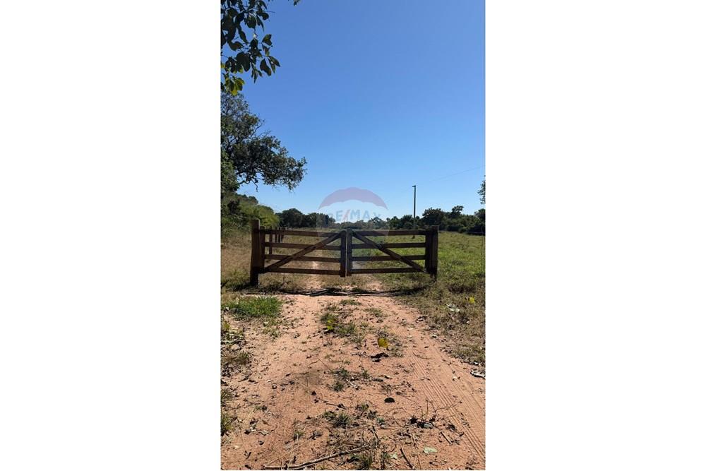 Fazenda - Venda - Santo Antônio do Leverger , Mato Grosso - 9382017e-e5fa-4cbd-8f40-79b53da81a05.jpeg - 720611035-41