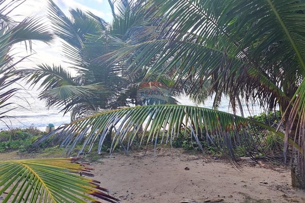 Terreno - Venda - Conde , Paraíba - b1fb710e-3f23-4810-a0ac-94346cd47a61.jpeg - 720471098-3