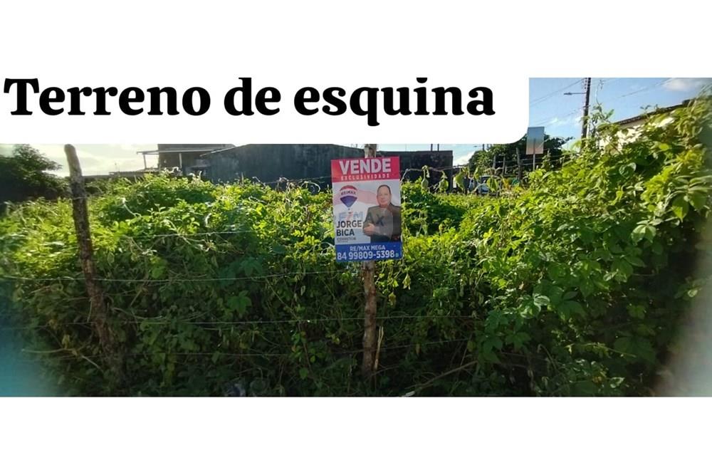 Residenční - Pozemek - Natal , Rio Grande do Norte - BR - WhatsApp Image 2025-07-27 at 14.27.24.jpeg - 720891003-88