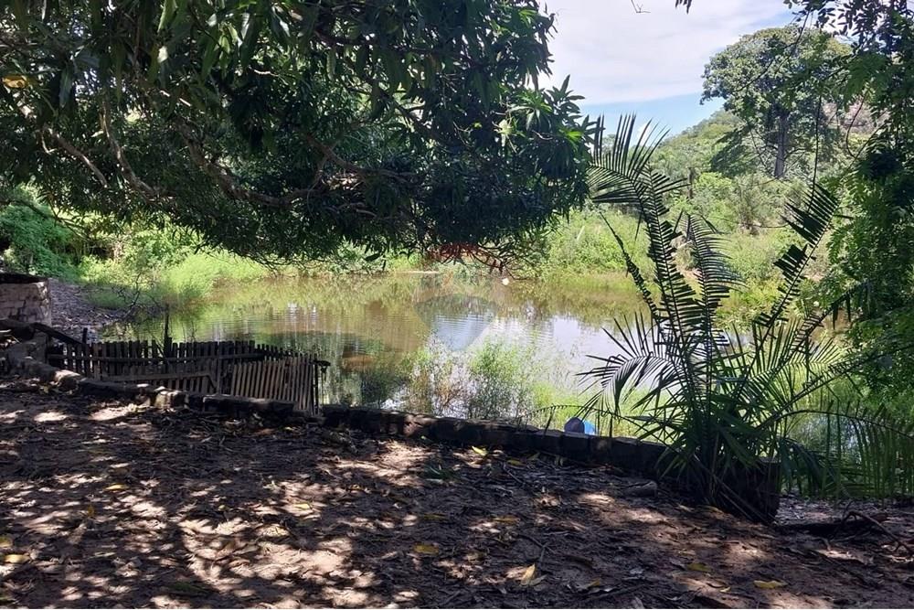 Chácara / Sítio / Fazenda - Venda - Rondonópolis , Mato Grosso - Imagem do WhatsApp de 2025-04-03 à(s) 17.02.37_2152d530.jpg - 722261002-10