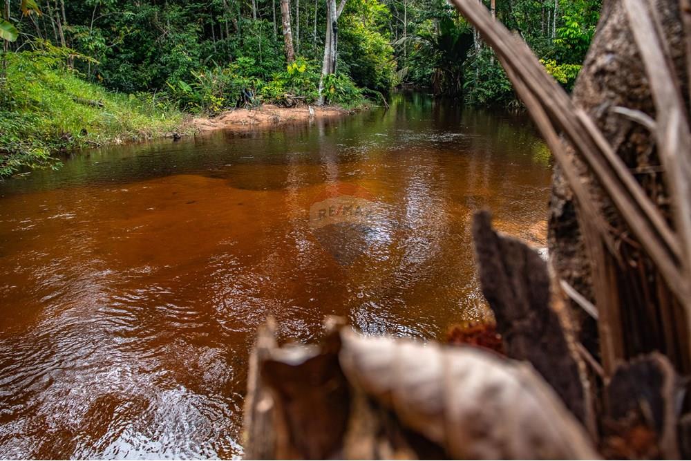 Woningbouw - Boerderij - Novo Airão , Amazonas - BR - IMG_7320.jpg - 720721055-29