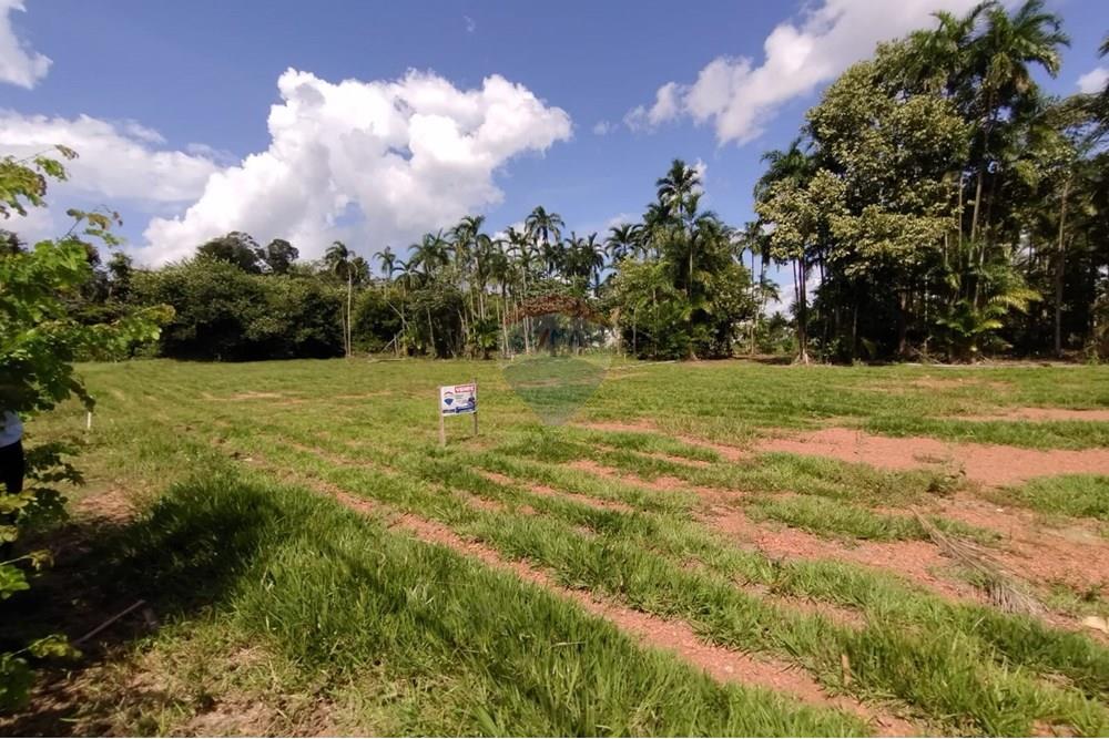 Terreno - Venda - Sinop , Mato Grosso - WhatsApp Image 2025-04-03 at 15.28.19 (3).jpeg - 721561039-28