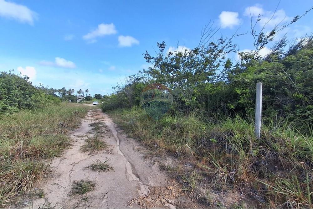 Terreno - Venda - Pitimbu , Paraíba - 76867af7-4c84-40f9-b96b-427b6252a7e8.jpg - 720871044-61