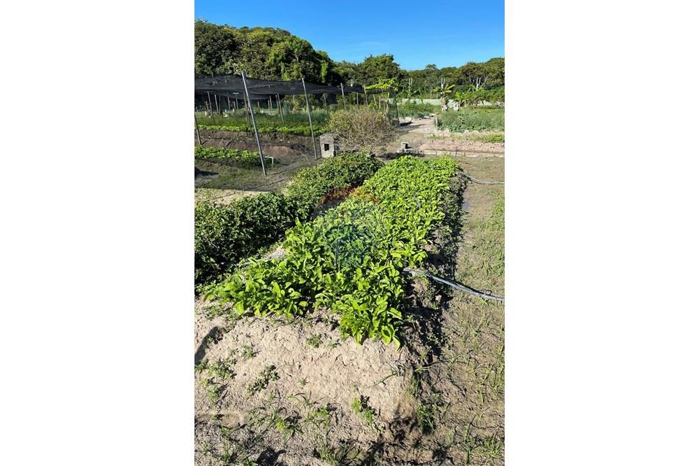 Terreno - Venda - Aquiraz , Ceará - IMG_3084.jpeg - 720321178-37