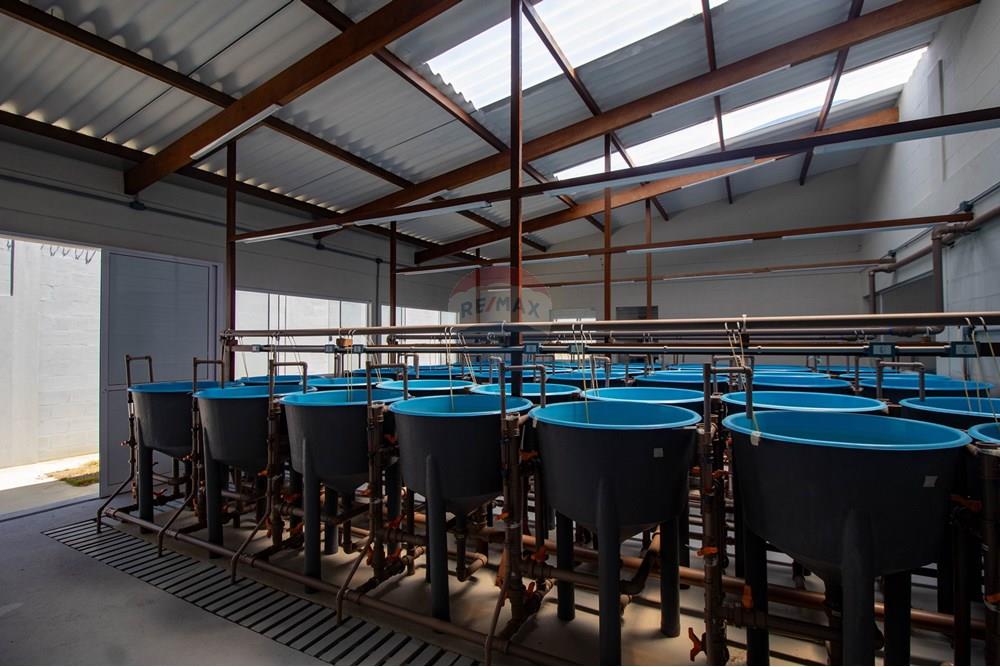 Casa Comercial - Venda - Nísia Floresta , Rio Grande do Norte - IMG_4376.jpg - 720891106-69