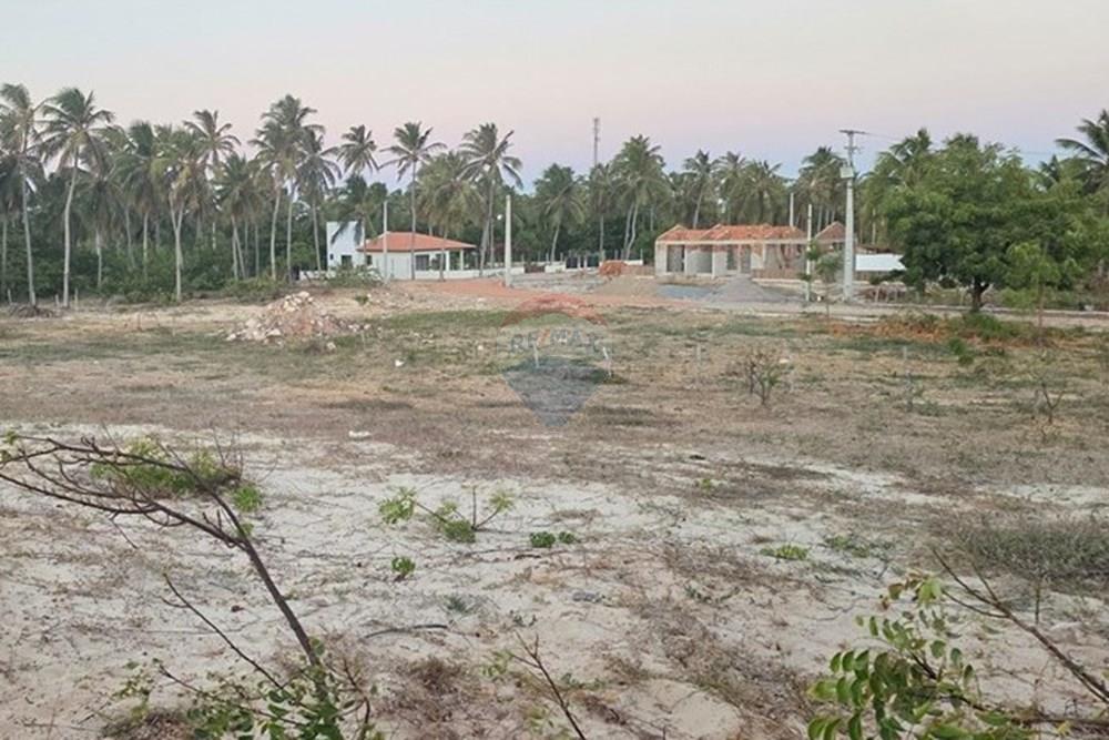 Terreno - Venda - Trairi , Ceará - 1000193879.jpg - 722341001-102