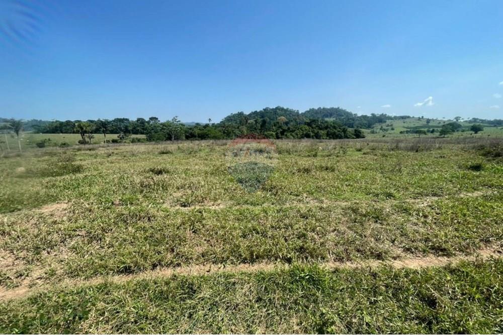 Chácara / Sítio / Fazenda - Venda - Ministro Andreazza , Rondônia - 213.jpg - 722311011-37